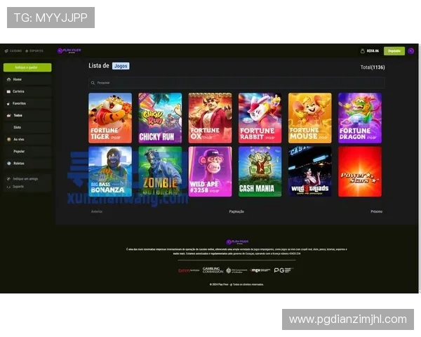 PG娱乐电子游戏平台简介：安全保障措施与玩家权益保护全方位解析